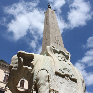 Elefant von Bernini