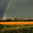 Das Zeichen des Bundes zwischen Gott und den Menschen - der Regenbogen. © danielito/morguefile.com / Das Zeichen des Bundes zwischen Gott und den Menschen - der Regenbogen. © danielito/morguefile.com Das Zeichen des Bundes zwischen Gott und den Menschen - der Regenbogen. © danielito/morguefile.com