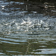 Wasser plätschert in ein Gewässer. 