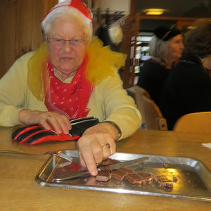  Seniorenfasching 2013