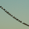 Leit-Bild. © luisrock62/morguefile.com