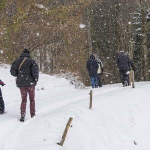 Bischofs Visitation Dekanat Weyer, Wanderung, Visitation mit den Mitgliedern der Pastoralkonferenz Dekanat Weyer in Trattenbach im SchneeFoto: Jack Haijes