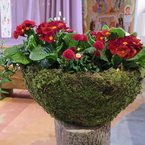 Palmsonntag 19