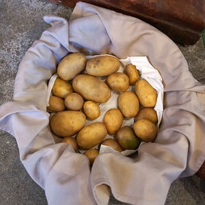 Erntedank 2014